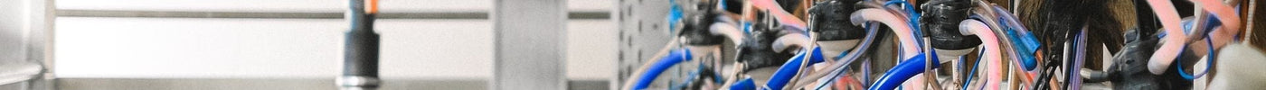 BACnet vs. Modbus: Understanding Building Automation Communication Protocols
