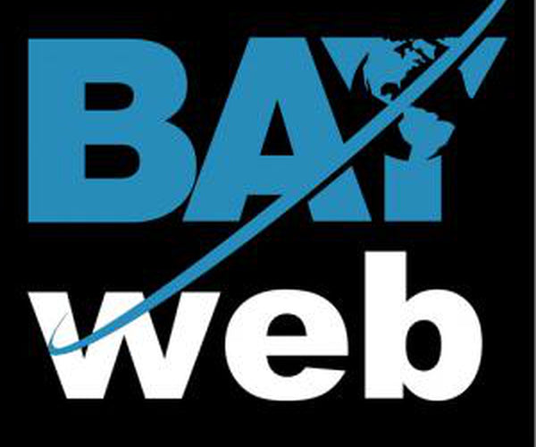 BAYweb controls Value Controls