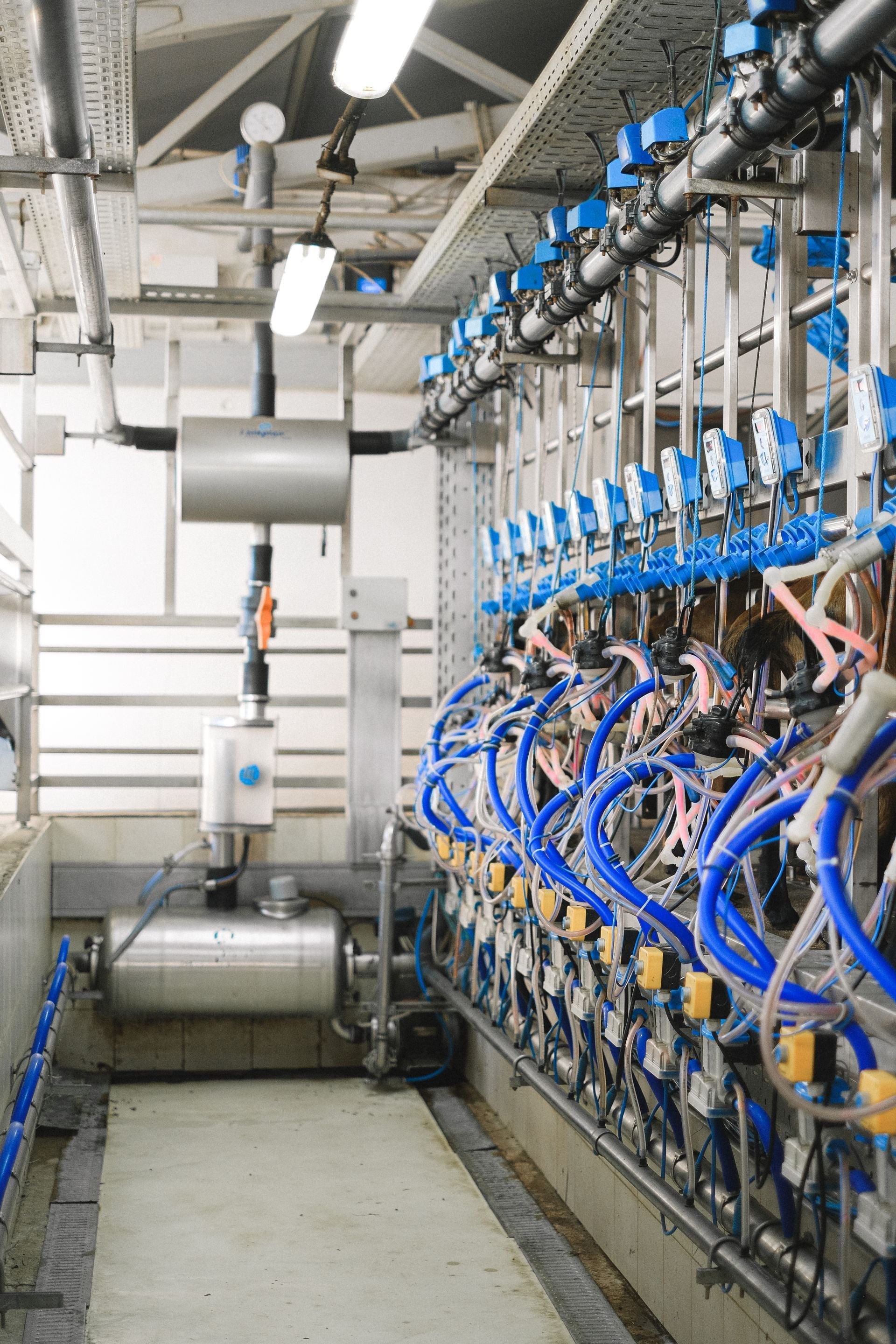 BACnet vs. Modbus: Understanding Building Automation Communication Protocols
