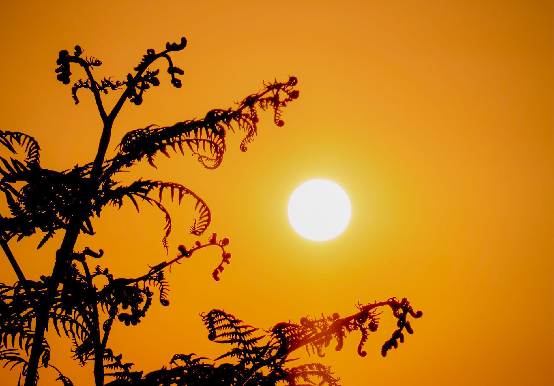 Thermostat Settings to Reduce Energy Bills During Summer