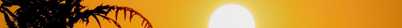 Thermostat Settings to Reduce Energy Bills During Summer